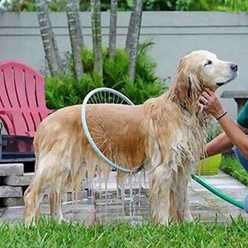360° Pet Shower Tool