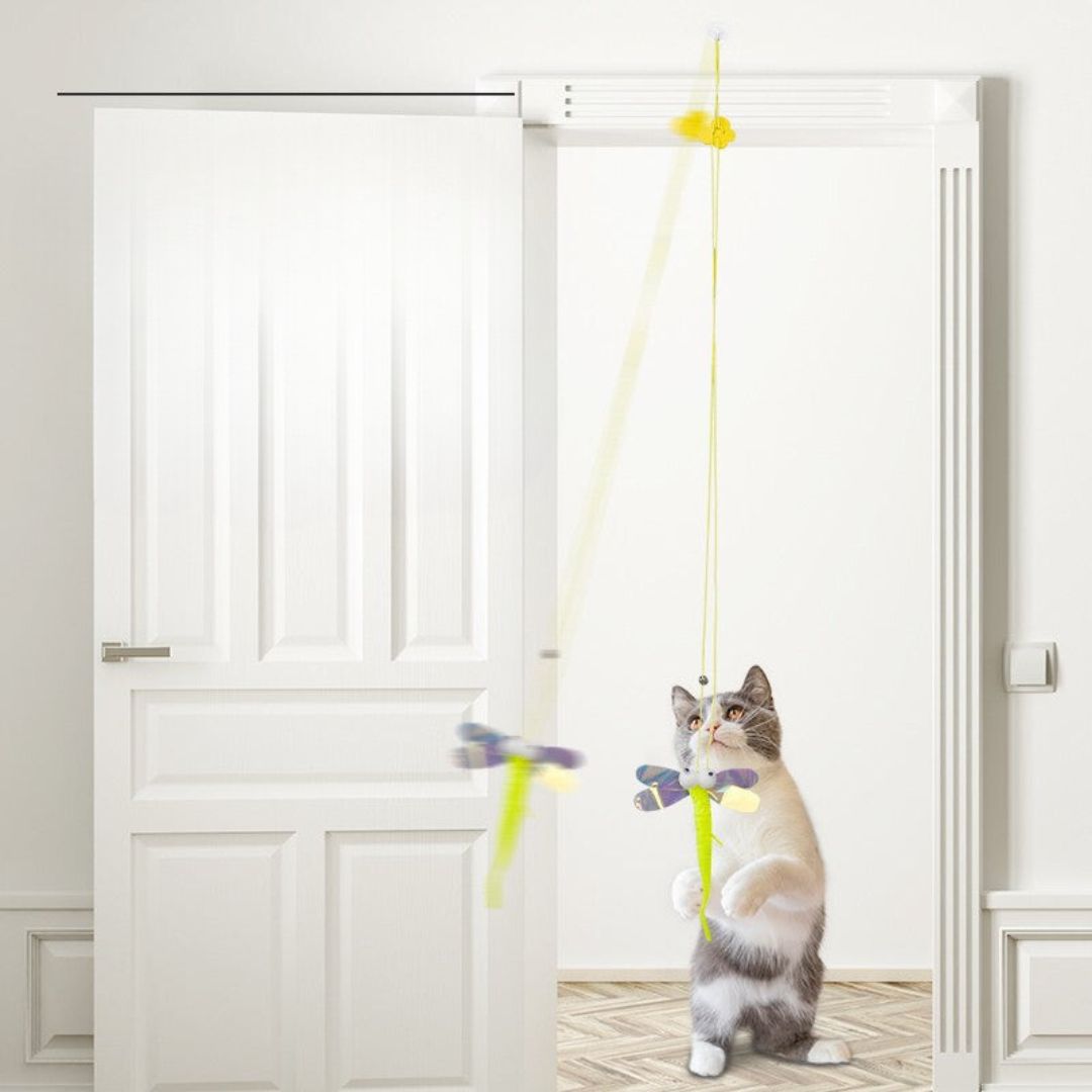Hanging Cat Toys