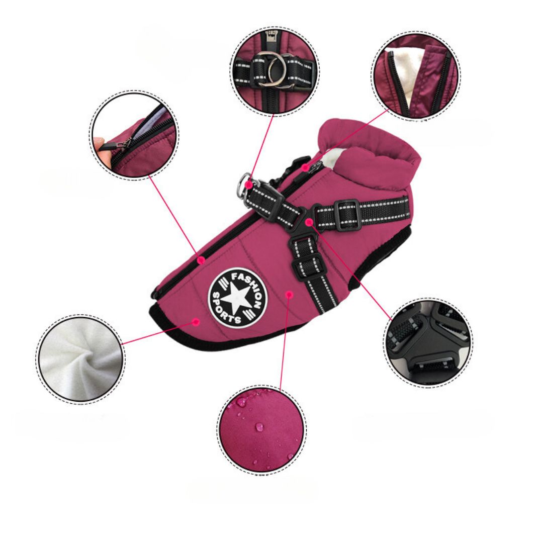 Windproof and Waterproof Dog Jacket with Integrated Harness