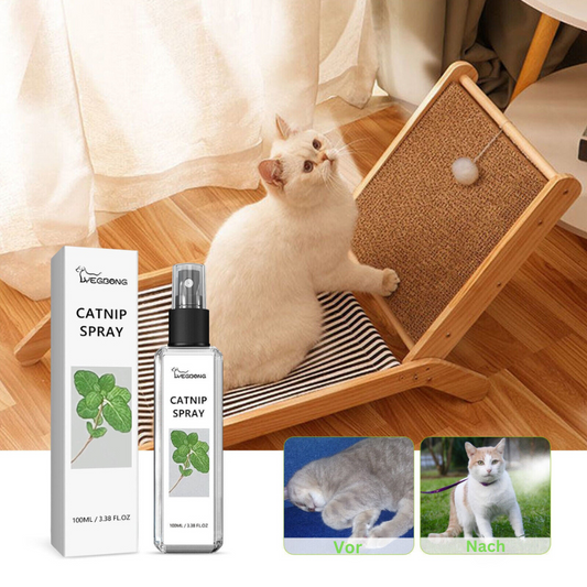 Silver Vine Spray for Cats