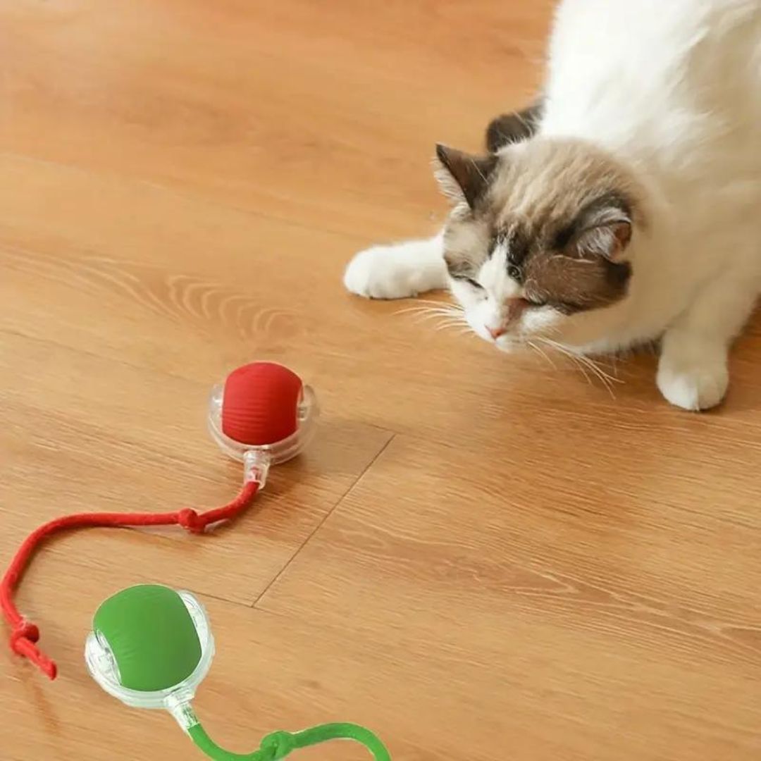 Interactive Game Ball with Tail for Cats