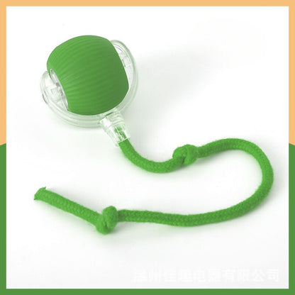 Interactive Game Ball with Tail for Cats