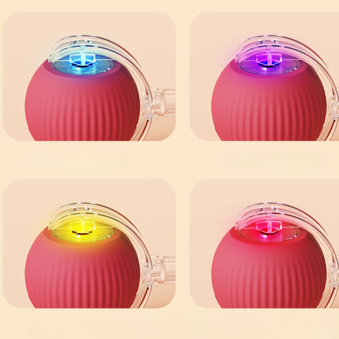 Interactive Game Ball with Tail for Cats