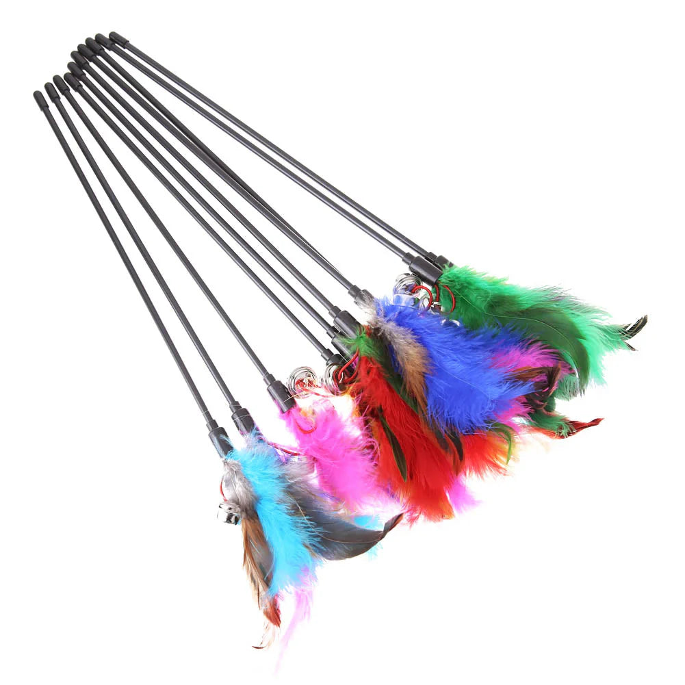 Cat Toy with Coloured Feathers (Set of 5)