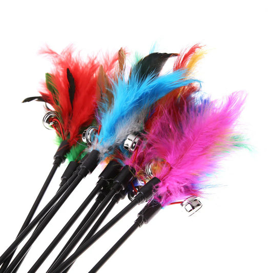 Cat Toy with Coloured Feathers (Set of 5)