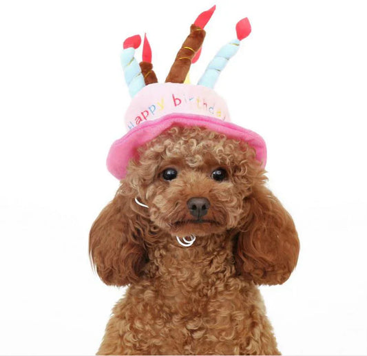 Party Hat for Dogs and Cats