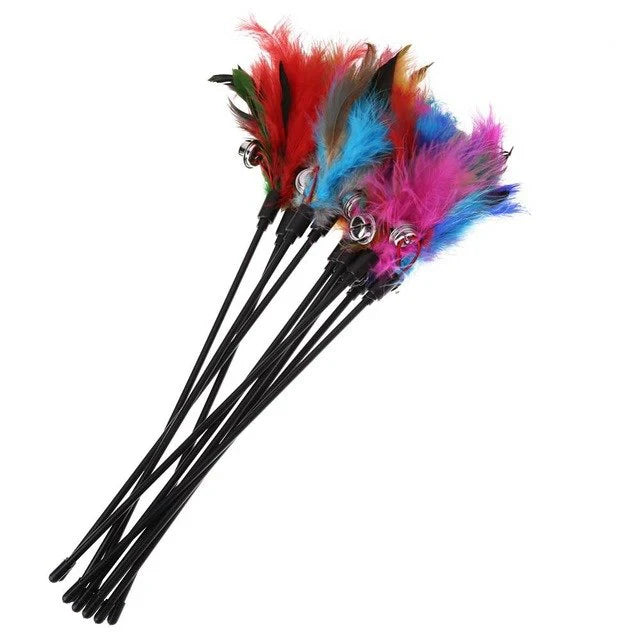 Cat Toy with Coloured Feathers (Set of 5)