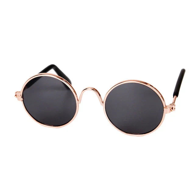 Fashion Sunglasses for Cats