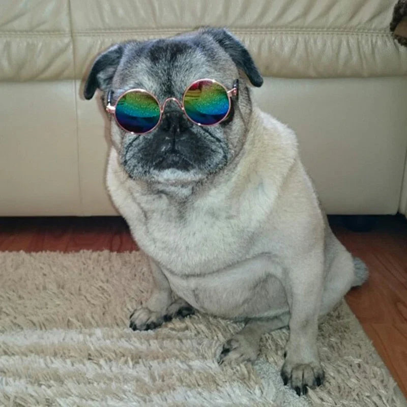 Fashion Sunglasses for Cats