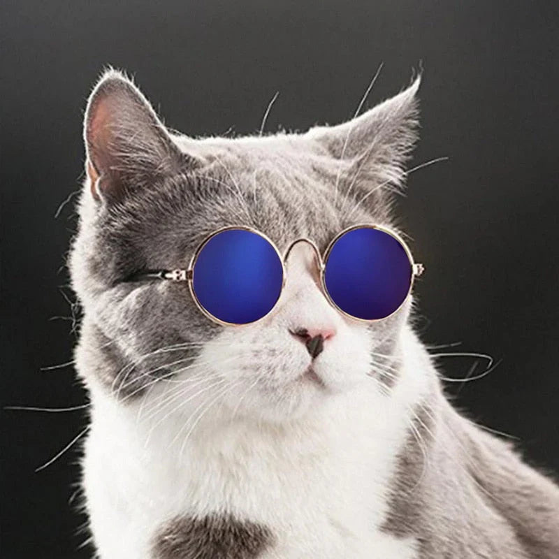 Fashion Sunglasses for Cats