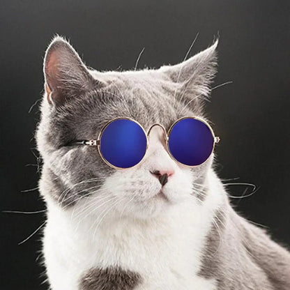 Fashion Sunglasses for Cats
