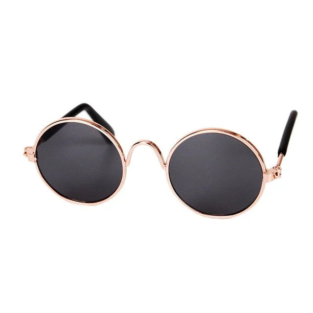 Fashion Sunglasses for Cats