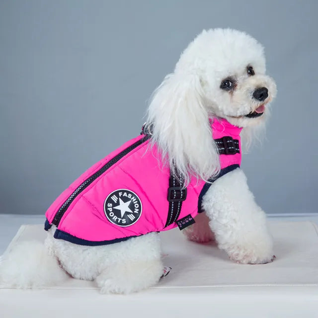 Windproof and Waterproof Dog Jacket with Integrated Harness