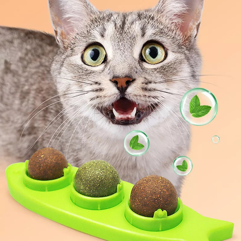 Catnip to Lick