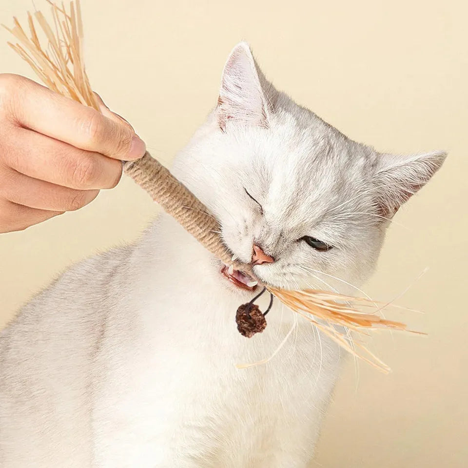Kitty Tooth Cleaning Sticks