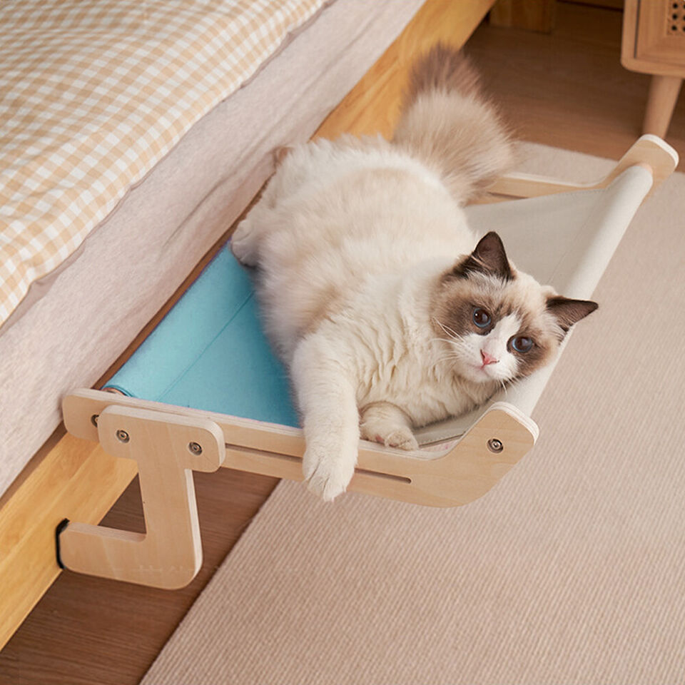 Practical Hammock for Cats