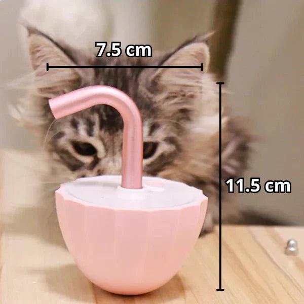 Laser Toy for Cats