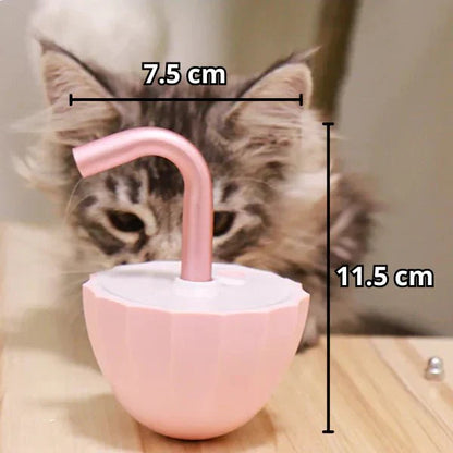 Laser Toy for Cats