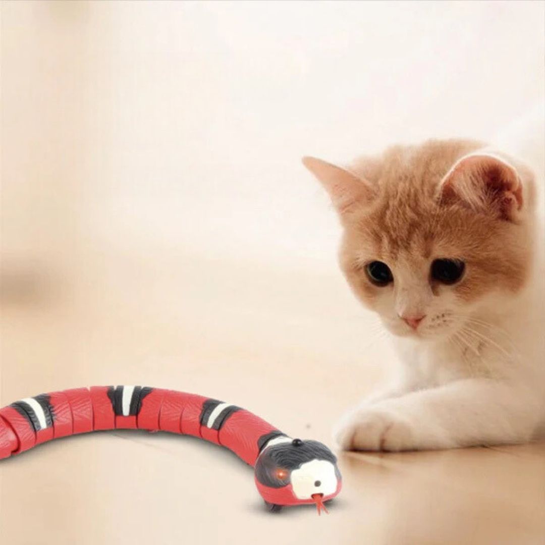 Snakey - Interactive Toy for Cats