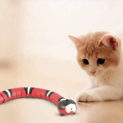 Snakey - Interactive Toy for Cats