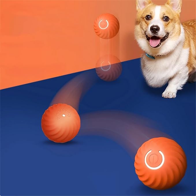 Interactive Bouncing Ball for Dogs