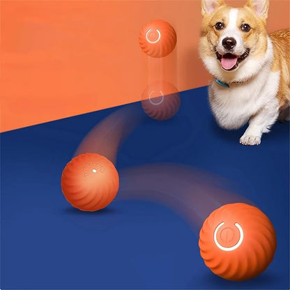 Interactive Bouncing Ball for Dogs