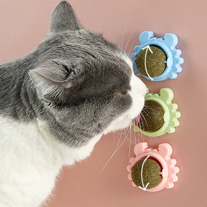 Cat Grass Ball for Cats