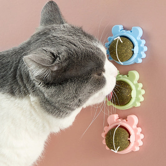 Cat Grass Ball for Cats