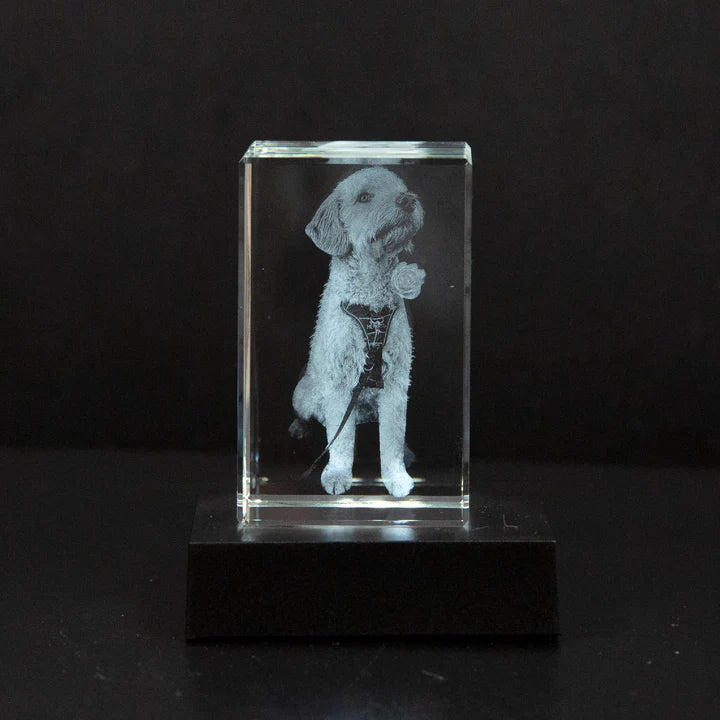 Personalised 2D/3D Crystal Photo Lamp with Laser Engraving