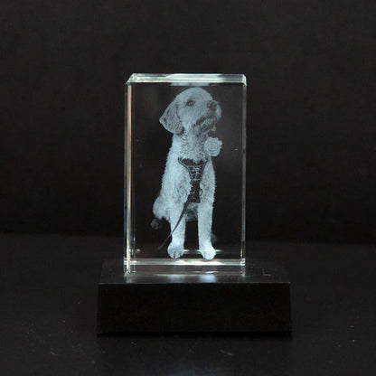 Personalised 2D/3D Crystal Photo Lamp with Laser Engraving